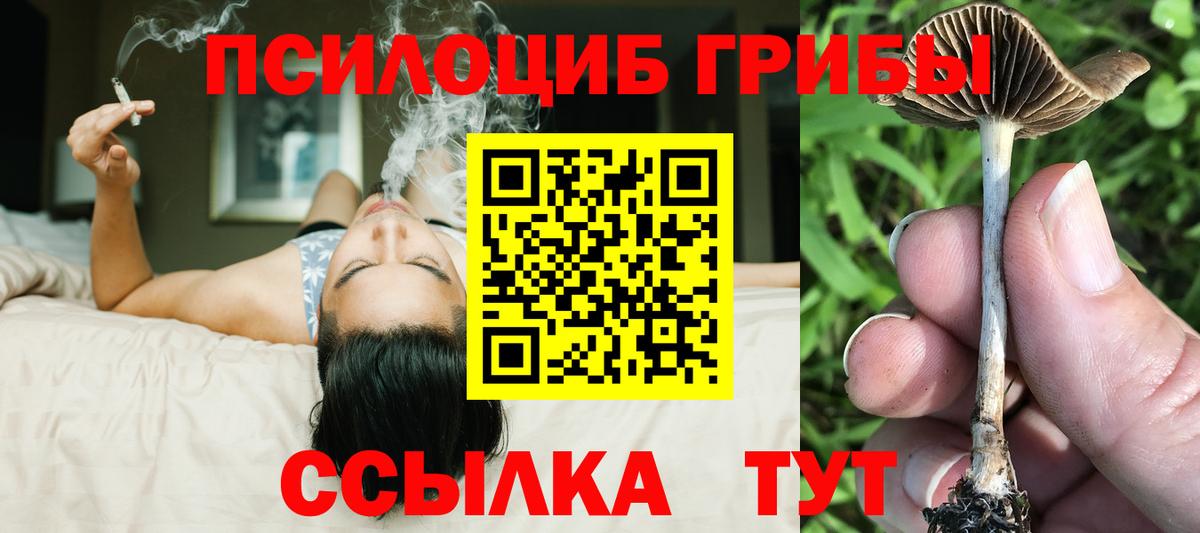 Галлюциногенные грибы MAGIC MUSHROOMS  Вход с VPN  Междуреченск 